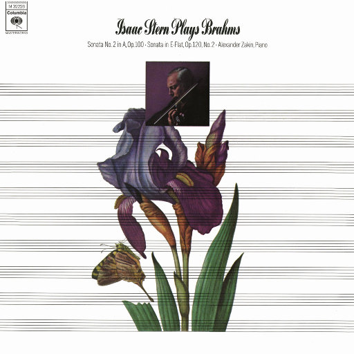 操逼高潮喷水视频
